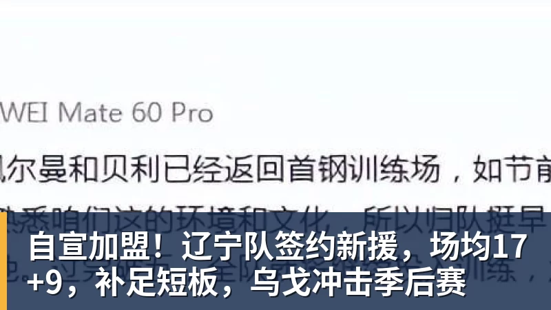 开云app官方在线入口自宣加盟！辽宁队签约新援，场均17+9，补足短板，乌戈冲击季后赛